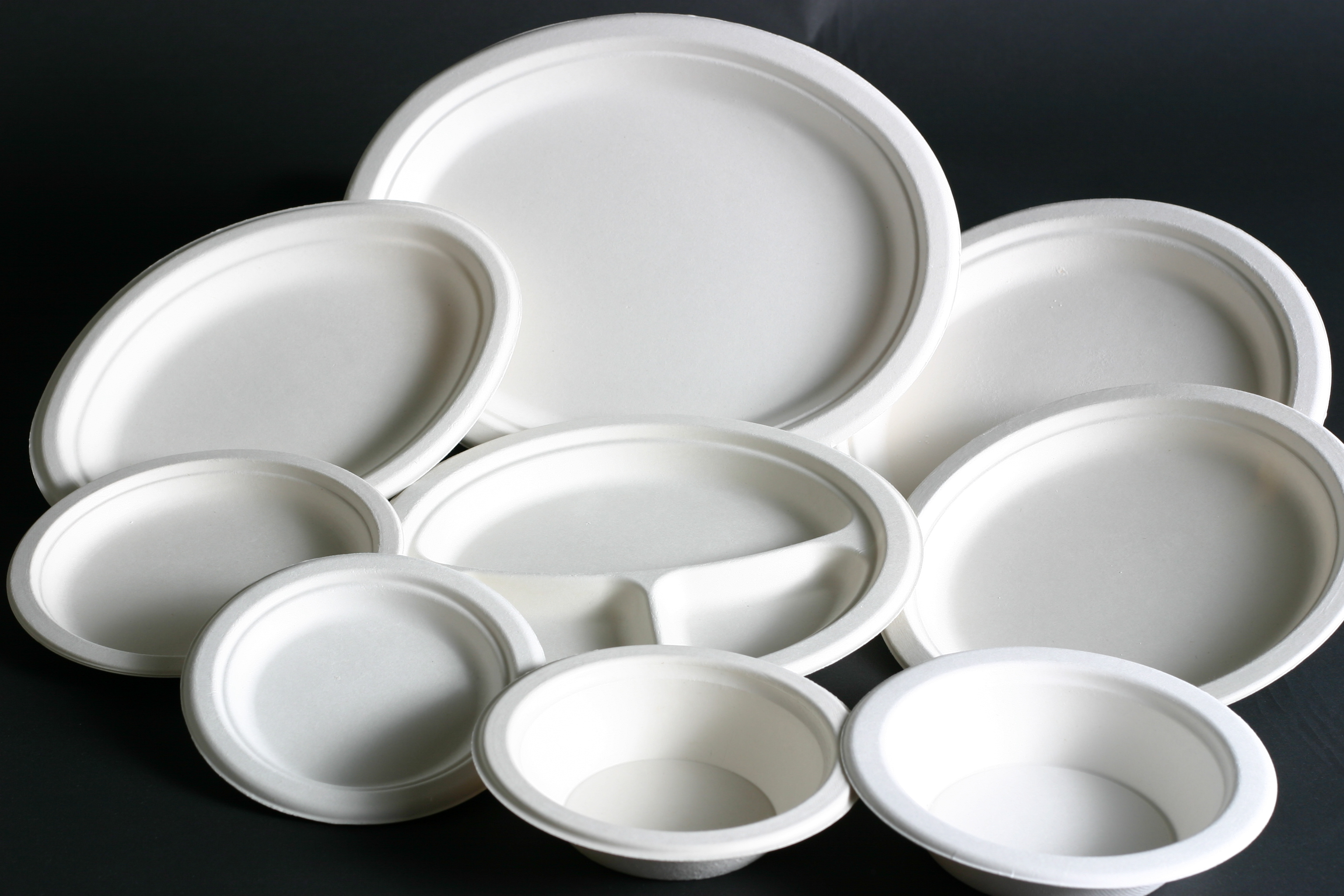France to Ban Plastic Dishes by 2020, Decision Stirs Controversy